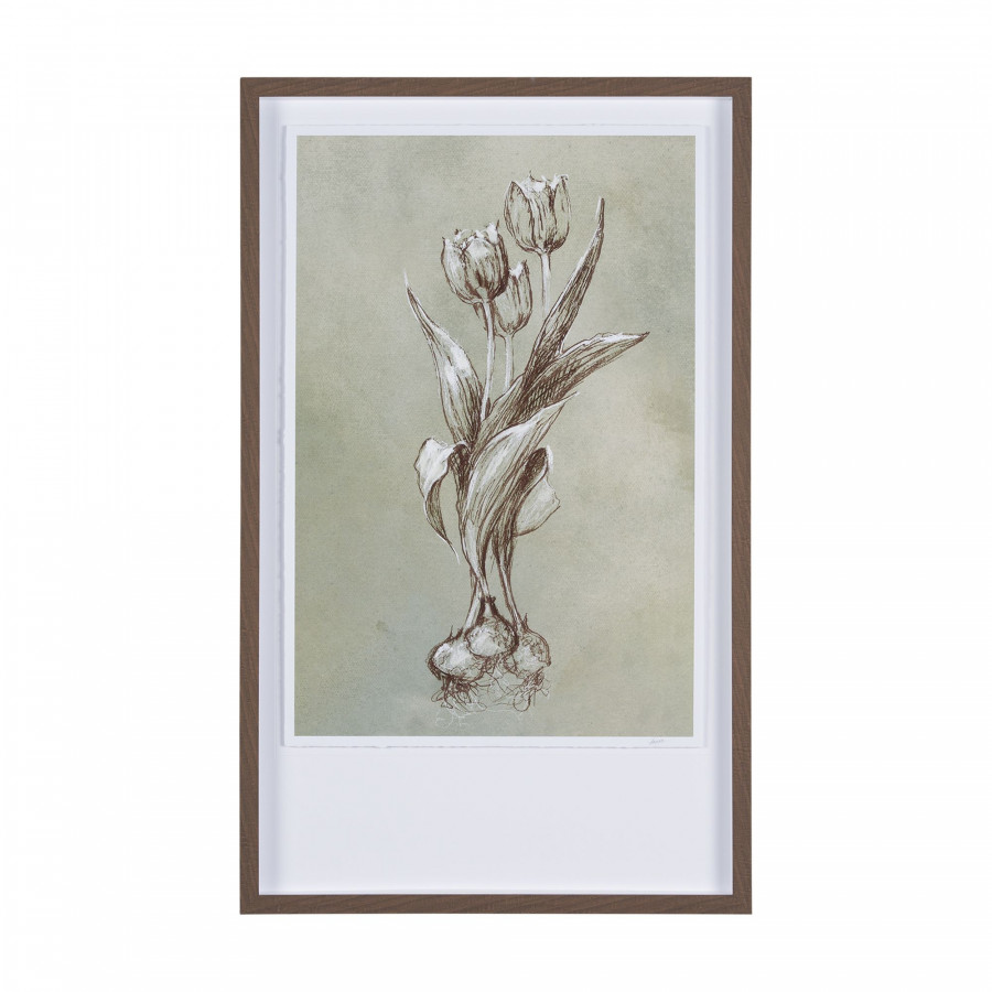 Mercana Botanical Sketch I - Light Green, Large