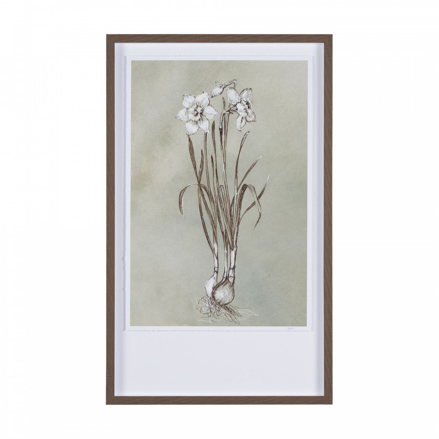 Mercana Botanical Sketch II - Light Green, Large