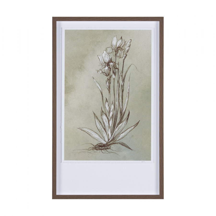 Mercana Botanical Sketch IV - Light Green, Large