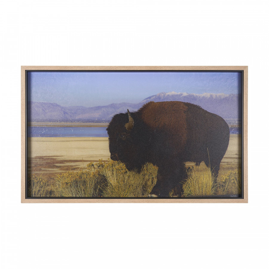 Mercana - Antelope Island