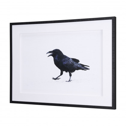 Mercana - Raven Beauty