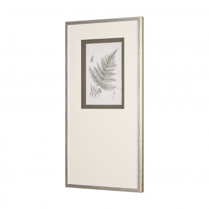 Mercana Fern Study III (Pteridium Aquilinum)