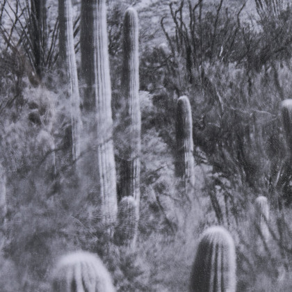 Mercana - American Borderlands