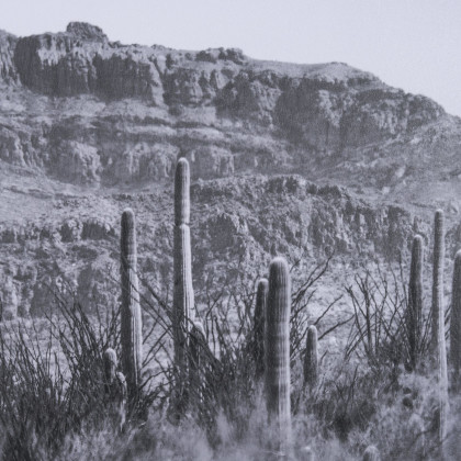 Mercana - American Borderlands