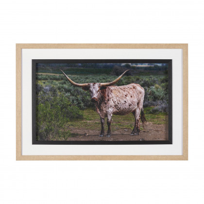 Mercana - Longhorn