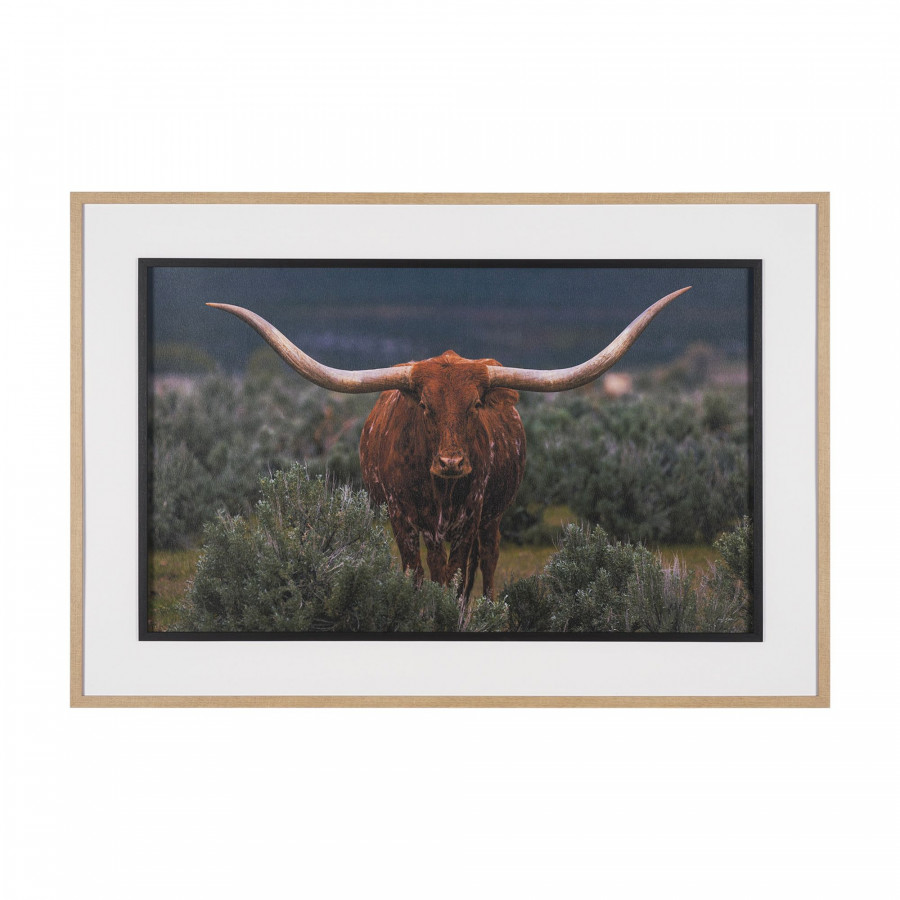 Mercana Longhorn 5