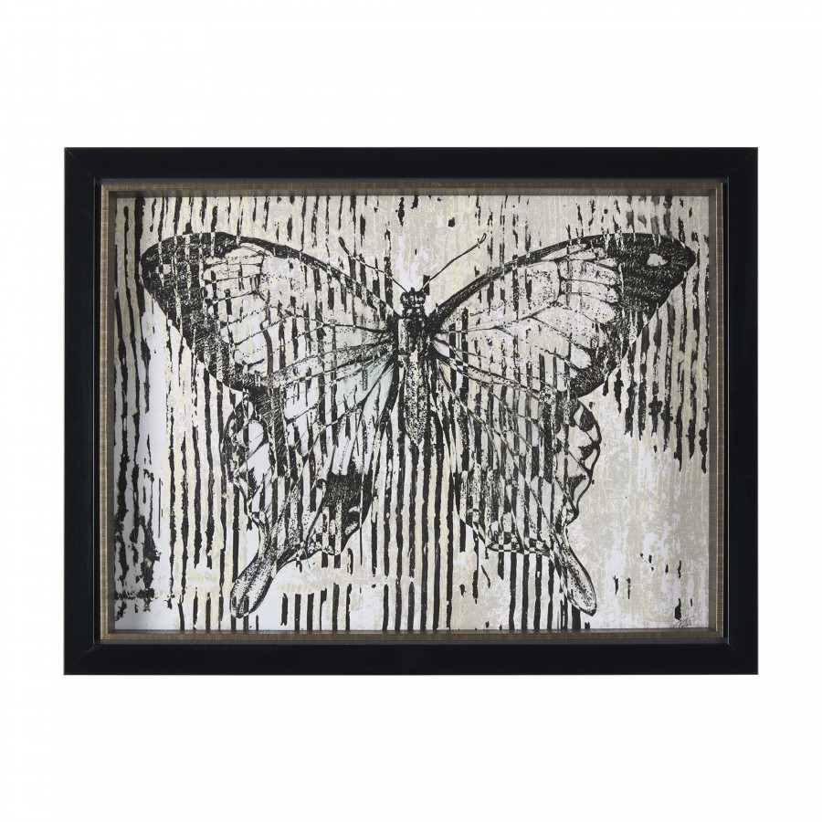 Mercana Papillon II