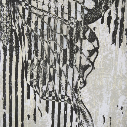 Mercana Papillon II