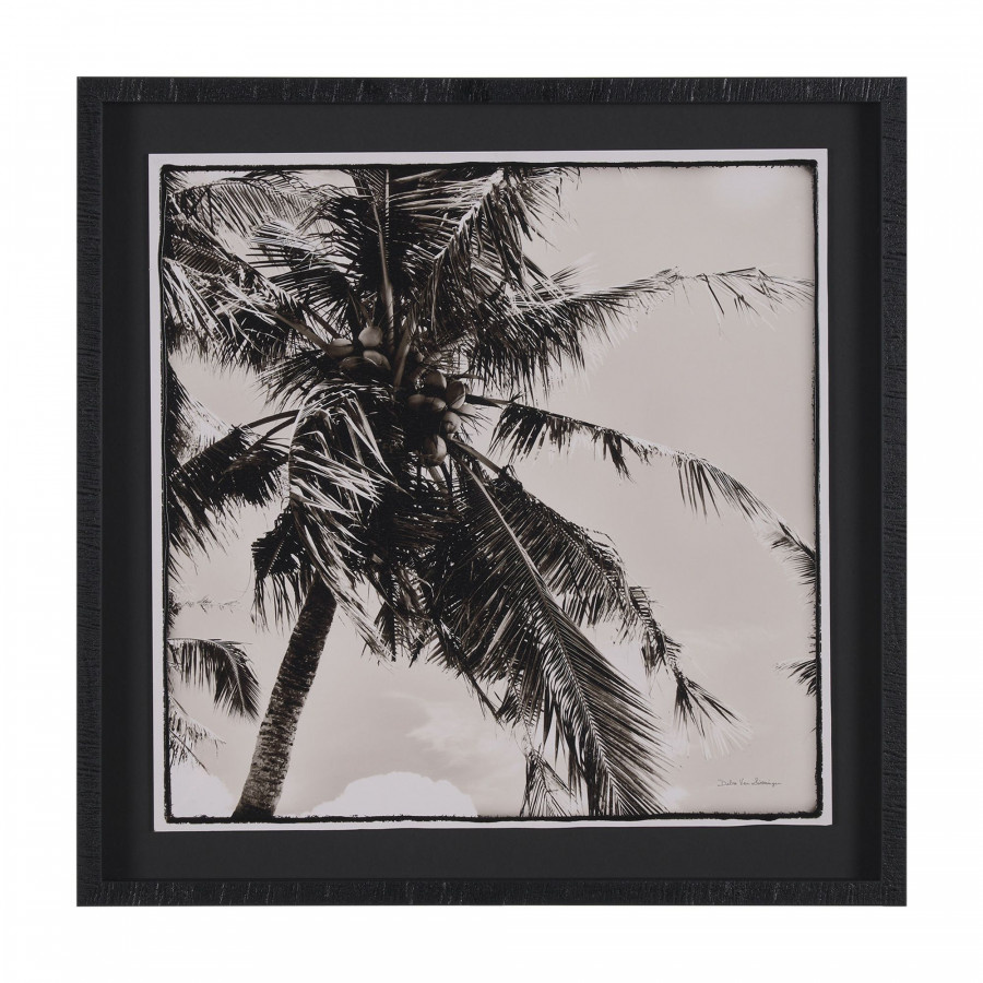 Mercana - Palm Tree Sepia