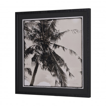 Mercana Palm Tree Sepia II