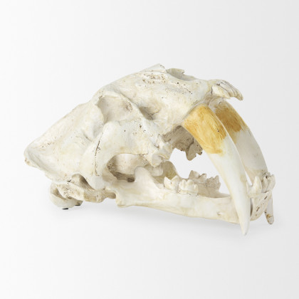 Mercana - Fozzil Object in Beige, Resin