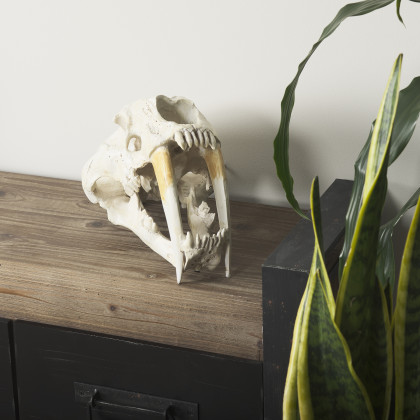 Mercana - Fozzil Object in Beige, Resin