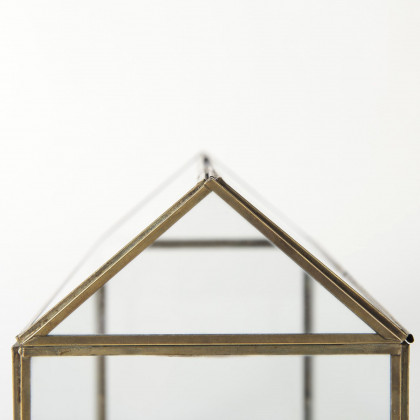 Mercana - Hutt Gold Glass Terrarium Box