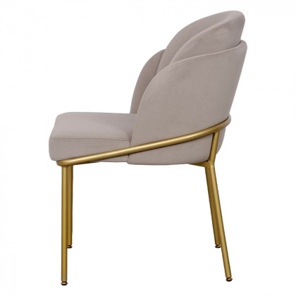 Mobital Wallen Dining Chair - Champagne