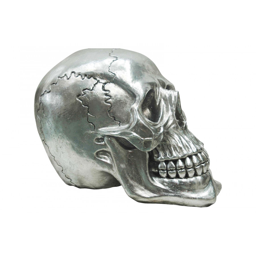 Moe's - Yorick Skull Gun Metal in Gray