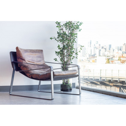 Moe's Connor Club Chair - Cappuccino