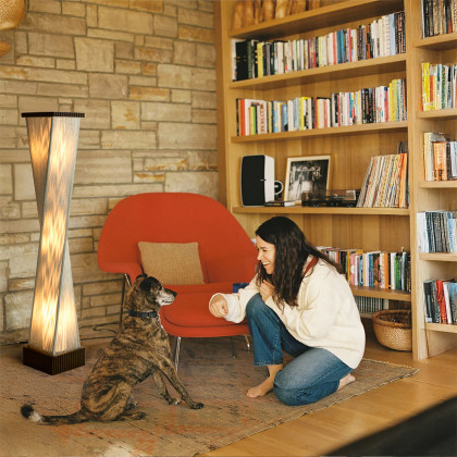 Nova Of CA - Torque Accent Floor Lamp Ebony