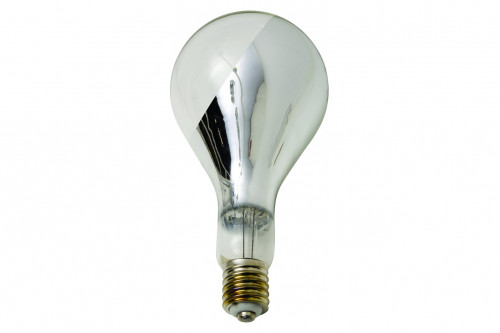 Nuevo™ - Big Base Bulb Light Bulb Clear Glass