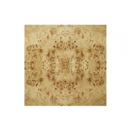 Oliver Anaheim Coffee Table - Clear/Mappa Burl Veneer
