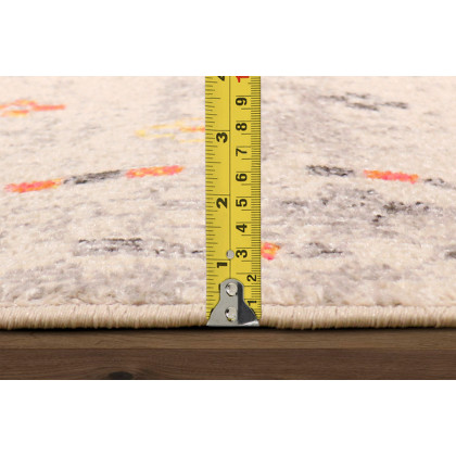 Pasargad Aldora Design Power Loom Area Rug (PD-476A 4X6) - 48'' x 72''