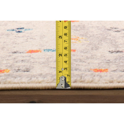 Pasargad Aldora Design Power Loom Area Rug (PD-476C 4X6) - 48'' x 72''