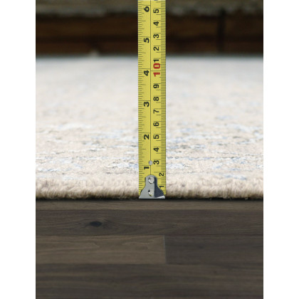 Pasargad - Transitional Collection Hand-Knotted Bamboo Silk/Wool Area Rug in Silver/L. Blue, 69" x 108" (pdc-1866 6x9)