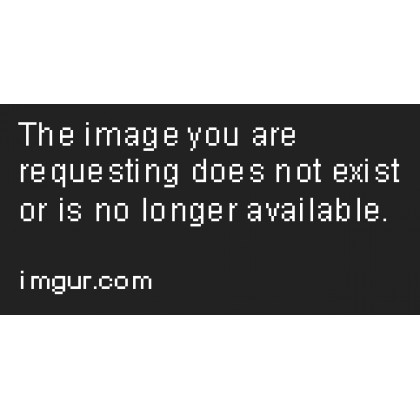 Pasargad - Sultanabad Collection Hand-Knotted Lamb's Wool Area Rug 147'' x 216'' PJ-506