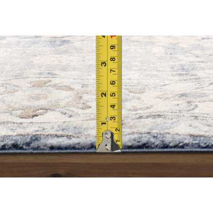 Pasargad Amadeus Design Power Loom Area Rug (PRC-1022BI 6X9) - 72'' x 108''