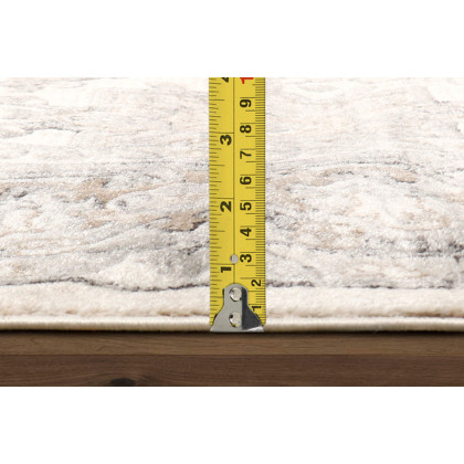 Pasargad Amadeus Design Power Loom Area Rug (PRC-1022IG 4X6) - 48'' x 72''