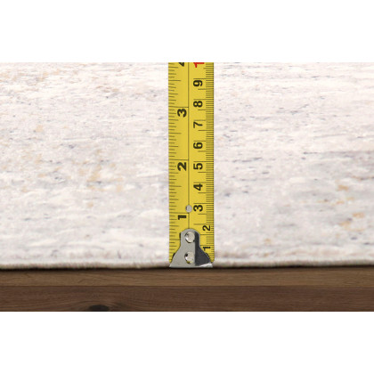 Pasargad Stella Design Power Loom Area Rug 62'' x 90'' (PVGA-44 5X8)