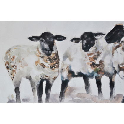 Renwil - Moutons Wall Art