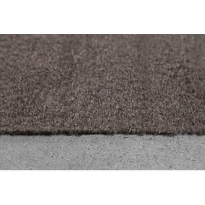 Renwil - Earthtone Rug