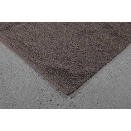 Renwil - Earthtone Rug