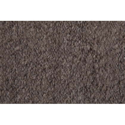 Renwil - Earthtone Rug