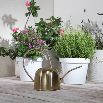 Sagebrook - Metal 11" Watering Can in Gold