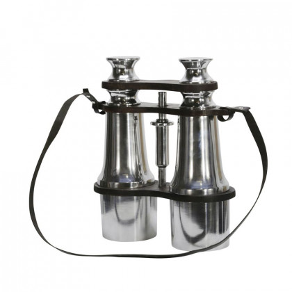 Sagebrook - 9" Metal Binoculars in Silver