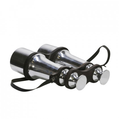 Sagebrook - 9" Metal Binoculars in Silver