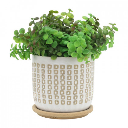 Sagebrook - 5"/6" Ceramic Planters With Saucer (Set Of 2) in Sand