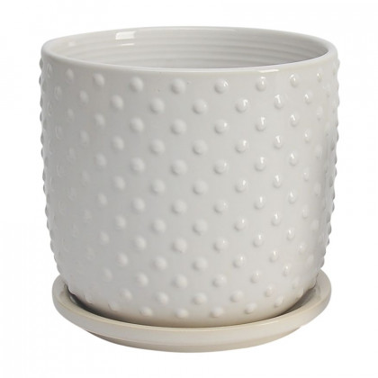 Sagebrook - 5"/6" Tiny Dots Planters With Saucer (Set Of 2) in White