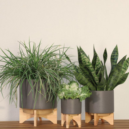 Sagebrook 5" Planter With Wood Stand - Matte Gray