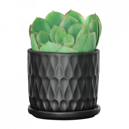 Sagebrook 6" Teardrop Planters with Saucer (Set Of 2) - Black