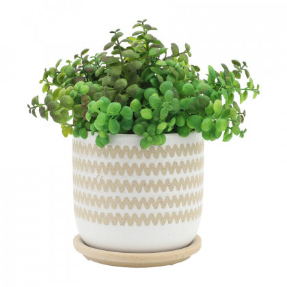 Sagebrook 5"/6" Zig-zag Planters With Saucer (Set Of 2) - White