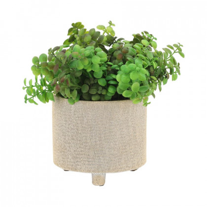Sagebrook 6"/8" Footed Scratched Ceramic Planters (Set Of 2) - Champagne