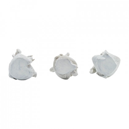 Sagebrook 8" Resin Yoga Elephants (Set Of 3) - White