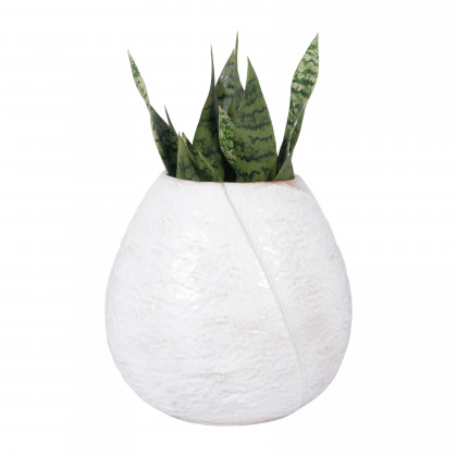 Sagebrook - 8" Ceramic Round Vase