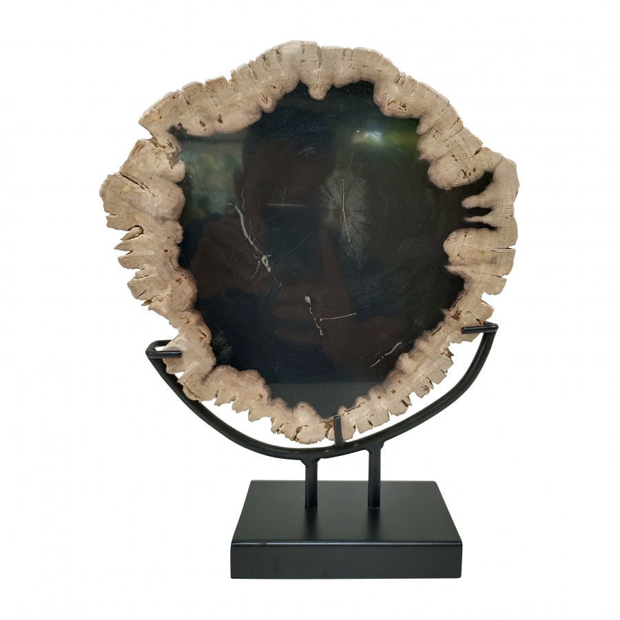 Sagebrook - 12" Petrified Wood Table Top Decor in Black