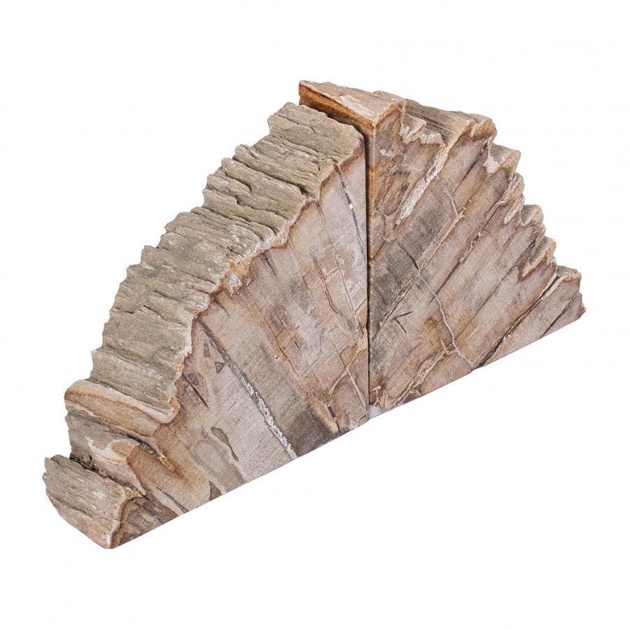 Sagebrook - 6" Petrified Wood Bookends in Natural