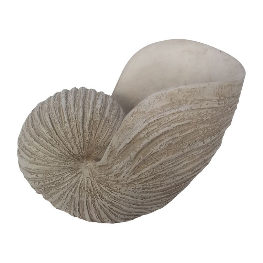 Sagebrook - 14" Shell Sculpture in Ivory