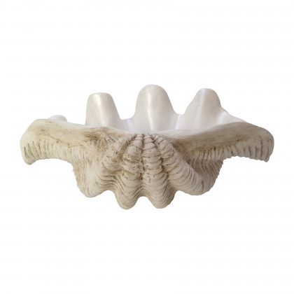 Sagebrook - 16" Pearlized Clam Shell Bowl