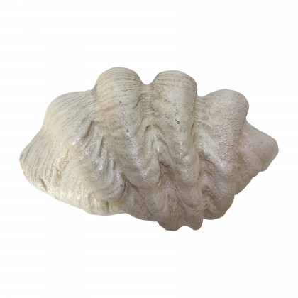 Sagebrook 25" Pearlized Clam Shell Bowl - Ivory